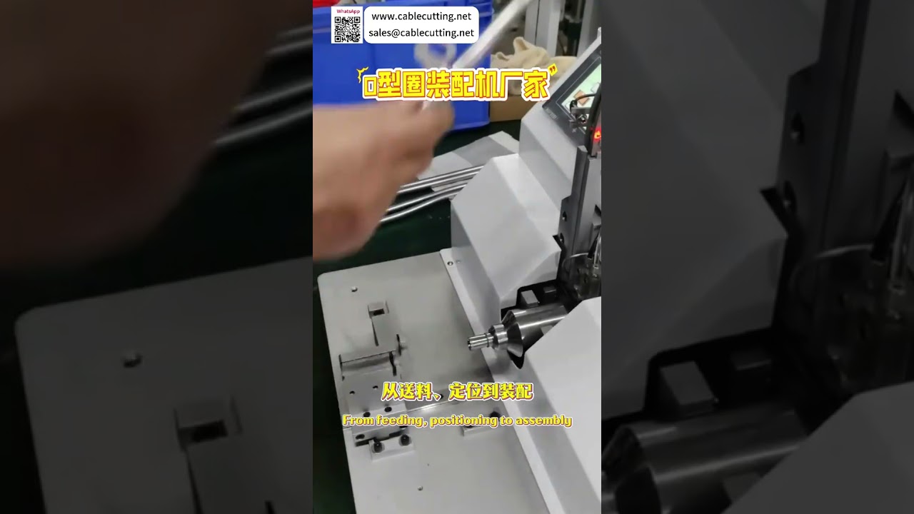 Máquina Automática de Ensamblaje de Anillos de Sellado (O-Rings) | Alta Eficiencia | Proveedor de Equipos Personalizados