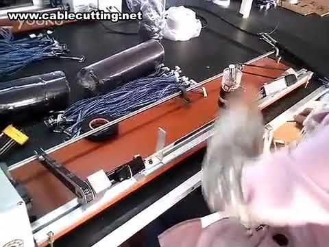 Máquina de bobinado para arneses | Envolvedora de cables trenzados | Bobinadora de cinta adhesiva