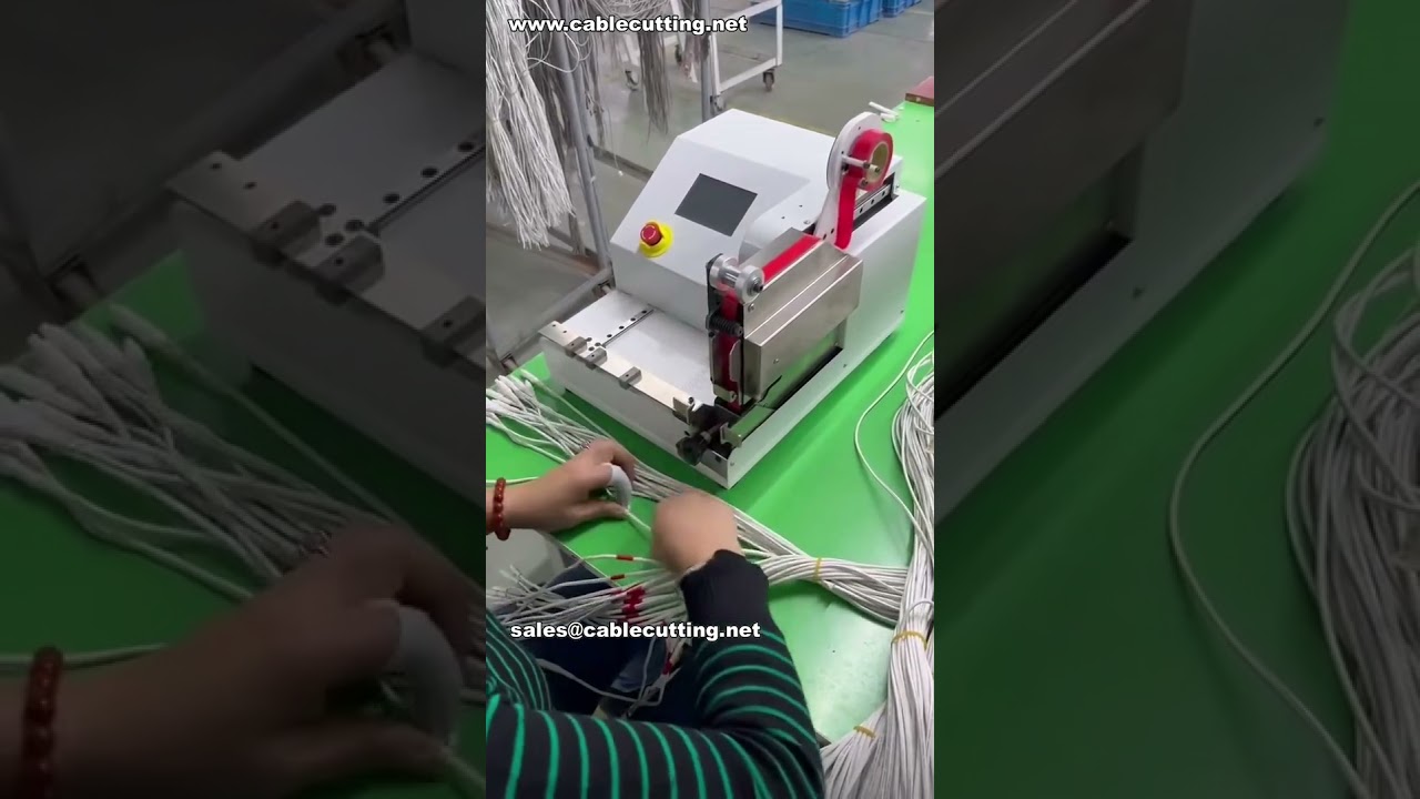 Máquina de encintado por puntos con posicionamiento de calibre preciso | Toma real en fábrica