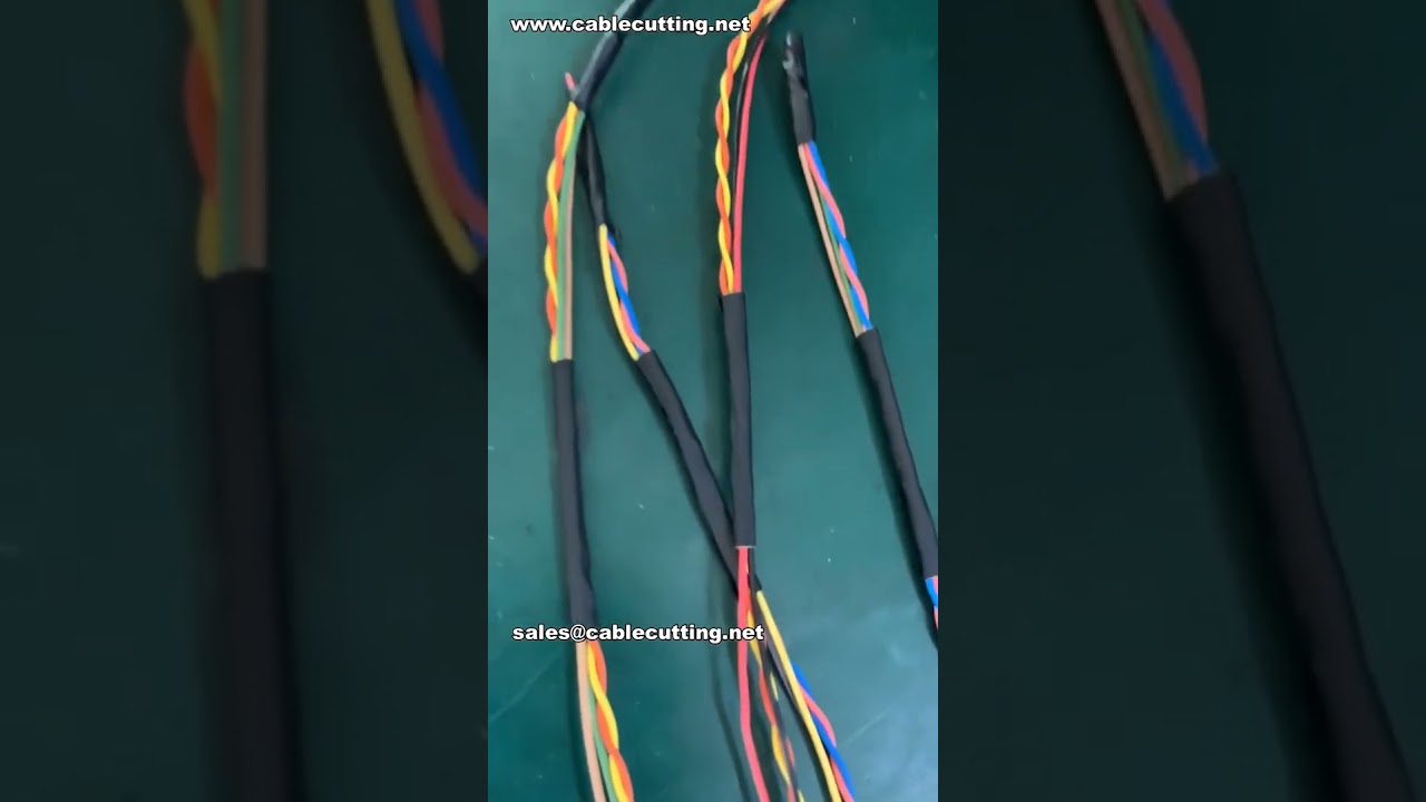 Máquina de Encintado por Puntos de Cinta Ancha de Sobremesa para Arneses de Cables | Automatización de Fábrica