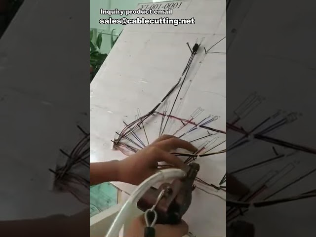 Máquina Automática para Bridas de Nylon | Equipo de Producción de Cintas de Amarre