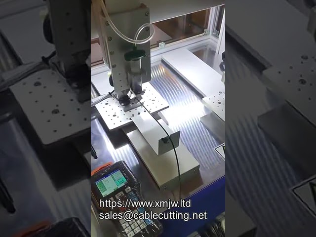 Máquina dispensadora de pegamento AB de escritorio: 3 o 4 ejes, personalizable