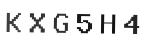 Verification Code Image